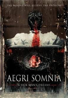 "Aegri Somnia" (2008) BDRip.x264-VoMiT