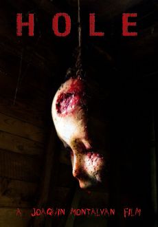 "Hole" (2010) WEBRip.x264-iNTENSO