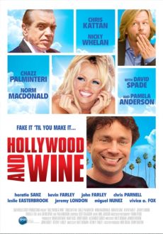 "Hollywood & Wine" (2010) BDRip.XviD-WiDE