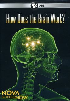 "Nova: How Does The Brain Work?" (2011) DVDRip.XviD-FiCO