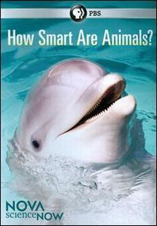 "How Smart are Animals?" (2011) DVDRip.XviD-SPRiNTER