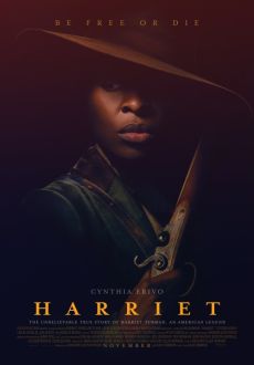 "Harriet" (2019) PL.BDRip.x264-PSiG