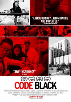 "Code Black" (2013) LIMITED.DVDRip.x264-RedBlade