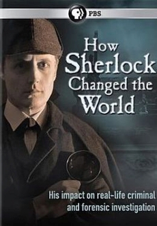 "How Sherlock Changed the World" (2013) WEB.x264-RBB 