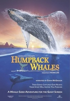 "Humpback Whales" (2015) BDRiP.x264-GUACAMOLE