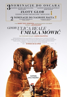 "If Beale Street Could Talk" (2018) PL.BDRiP.x264-PSiG