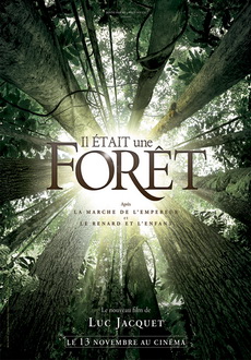 "Once Upon a Forest" (2013) DVDRip.x264-RedBlade