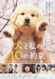 "10 Promises To My Dog" (2008) RETAiL.DVDRip.XviD-CoWRY