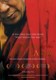 "10 Questions For The Dalai Lama" (2006) PROPER.DVDRip.XviD-VoMiT