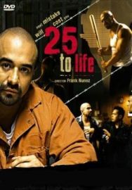 "25 To Life" (2008) DVDRip.XviD-DOMiNO