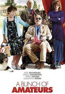 "A Bunch of Amateurs" (2008) PL.LiMiTED.DVDRiP.XViD-PSiG