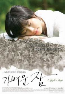 "A Light Sleep" (2008) DVDRip.XviD-SSF