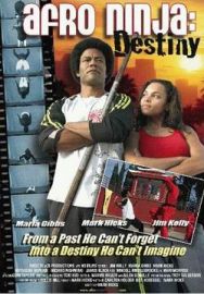 "Afro Ninja: Destiny" (2008) DVDSCR.XviD-DOMiNO