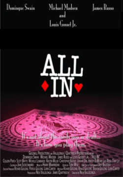 "All In" (2006) DVDRip.XviD-AFO
