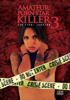 "Amateur Porn Star Killer 3" (2009) DVDRip.XviD-FiCO