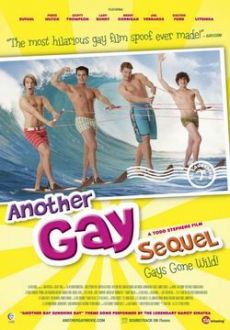 "Another Gay Sequel" (2008) DVDRip.XviD-VoMiT