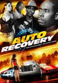 "Auto Recovery" (2008) DVDRip.XviD-ARiGOLD