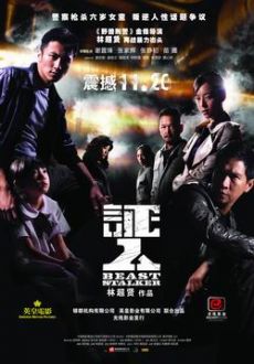 "Beast Stalker" (2008) CN.DVDRip.XviD-PMCG