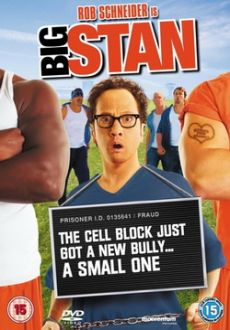 "Big Stan" (2007) PL.DVDRip.XviD-DMX