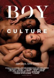 "Boy Culture" (2006) LIMITED.PROPER.DVDRip.XviD-MrFixer