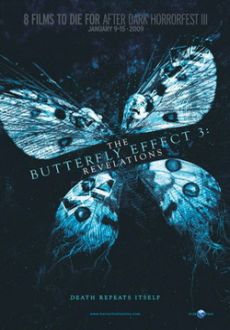 "Butterfly Effect: Revelation" (2009) DVDRip.XviD-BeStDivX