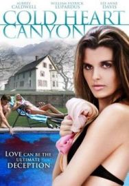 "Cold Heart Canyon" (2008) STV.DVDRip.XviD-DOMiNO