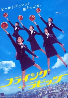 "Flying Rabbits" (2008) DVDRip.XviD.JAP-SUPERiER