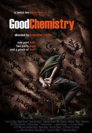 "Good Chemistry" (2008) DVDRip.XviD-VoMiT