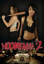 "Hoodrats 2 Hoodrat Warriors" (2008) DVDRip.XviD-DOMiNO