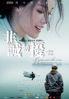 "If You Are The One" (2008) CN.DVDRip.XviD-PMCG