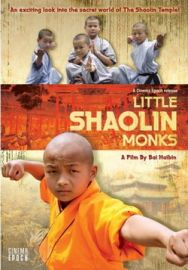 "Little Shaolin Monks" (2007) STV.SUBBED.DVDRip.XviD-LAJ