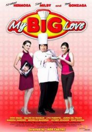 "My Big Love" (2008) DVDRip.XviD-YCDV