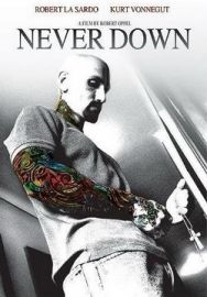 "Never Down" (2006) PROPER.DVDRip.XviD-VoMiT