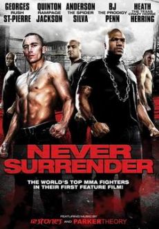 "Never Surrender" (2009) DVDRip.XviD-ARiGOLD