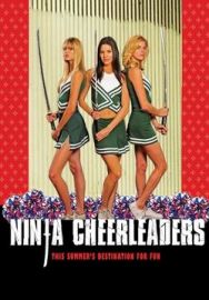 "Ninja Cheerleaders" (2008) STV.DVDRiP.XviD-iNTiMiD