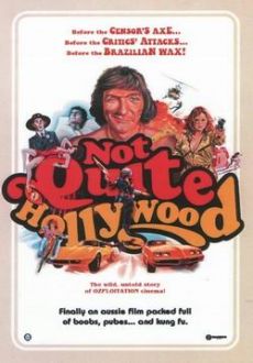 "Not Quite Hollywood" (2008) DVDRip.XviD-aAF