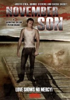 "November Son" (2008) DVDRip.XviD-DOMiNO