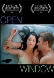 "Open Window" (2006) DVDRip.XviD-TFE