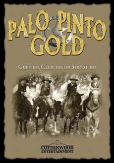 "Palo Pinto Gold" (2009) DVDRip.XviD-ARiGOLD