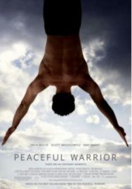"Peaceful Warrior" (2006) Limited.DVDRiP.XViD-DvF
