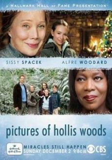 "Pictures of Hollis Woods" (2007) DVDRiP.XviD-Wizeguys