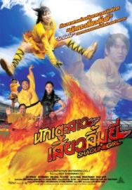 "Shaolin Girl" (2008) DVDRip.XviD-CoWRY