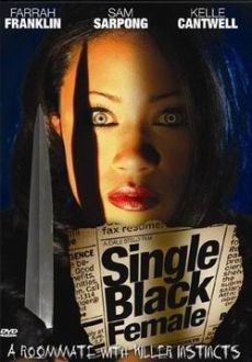 "Single Black Female" (2007) DVDRip.XviD-VoMiT