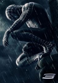 "Spiderman 3" (2007) CAM.VCD-CANALSTREET