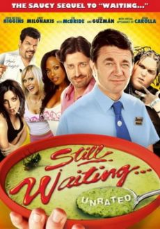 "Still Waiting" (2009) UNRATED.DVDRiP.XViD-DOCUMENT