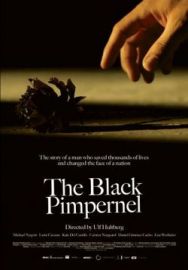 "The Black Pimpernel" (2007) DVDRip.XviD-COUNTRY46