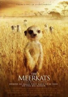 "The Meerkats" (2008) DOCU.DVDRip.XviD-ELiA