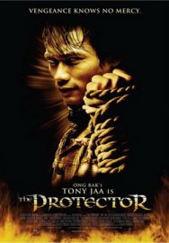 "The Protector" (2005) PL.DVDRip.XviD-JB