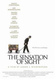 "The Sensation Of Sight" (2006) Limited.DVDRiP.XviD-iNTiMiD