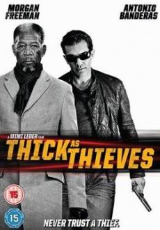 "Thick As Thieves" (2009) PL.DVDRip.XviD-KiCZ